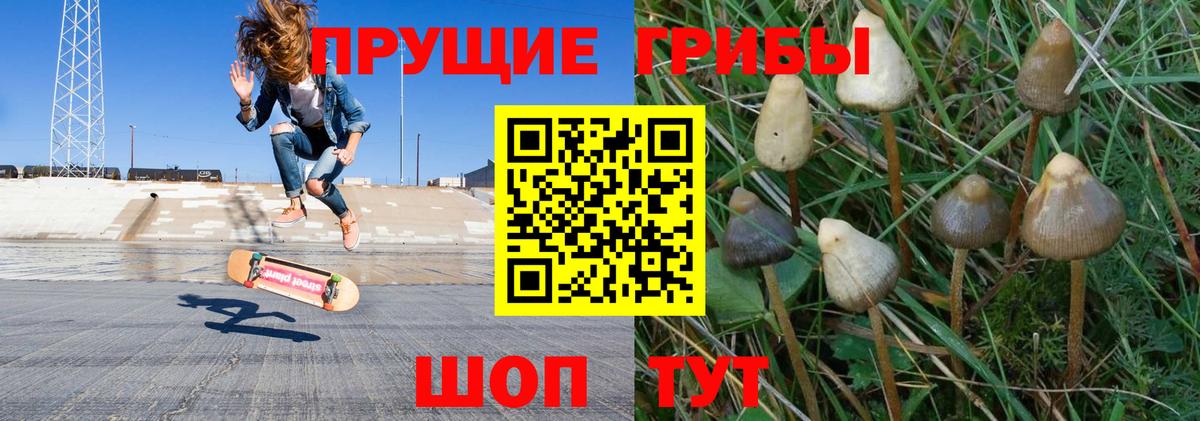 Первоуральск  Галлюциногенные грибы мухоморы  Вход с VPN 