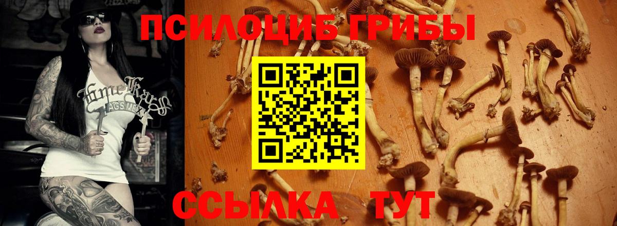 Псилоцибиновые грибы MAGIC MUSHROOMS Первоуральск